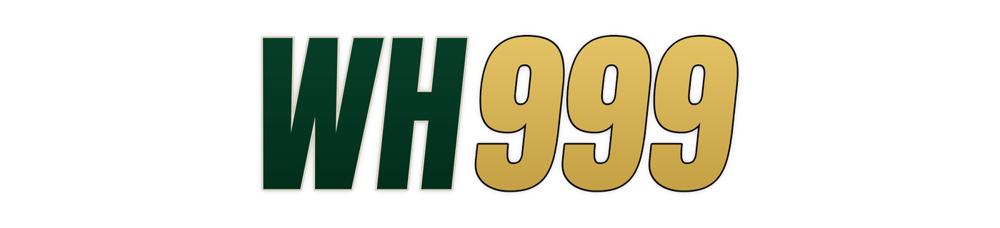 wh999 logo